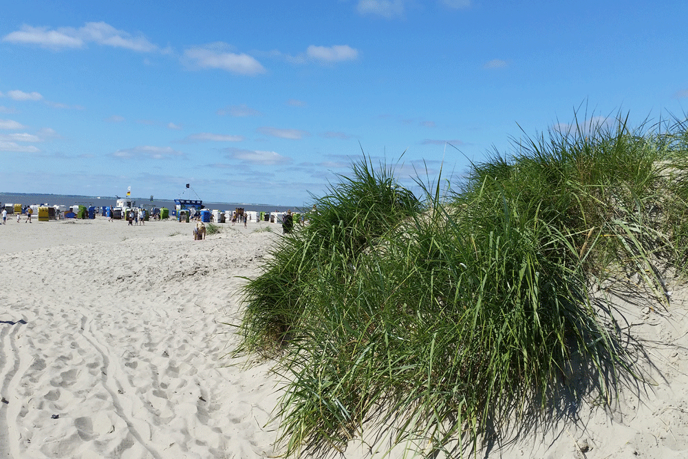 Norddeich Strand